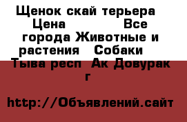 Щенок скай терьера › Цена ­ 20 000 - Все города Животные и растения » Собаки   . Тыва респ.,Ак-Довурак г.